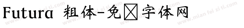Futura 粗体字体转换